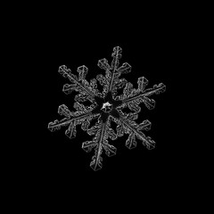 Snowflake isolated on black background. Macro photo of real snow crystal: elegant stellar dendrite...