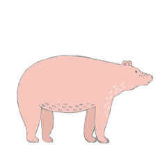 modern art social media instagram high lights animals bear bird owl fox rabbit garden bicycle  child room boy girl toy story