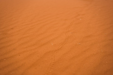 texture of red sand with structures and lines of small stones