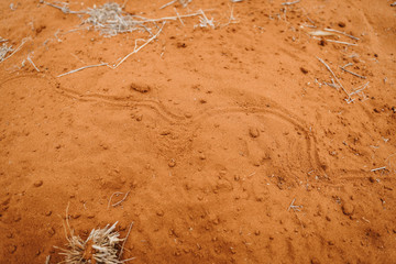texture of red sand with structures and small stones