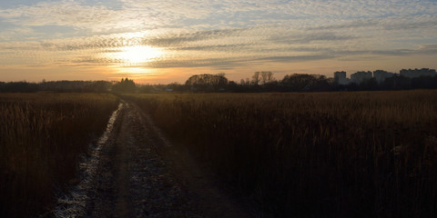 Walking through the forest, beautiful panorama.