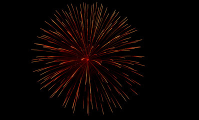 Colorful firework in night sky close up
