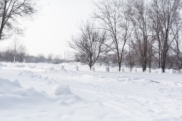 Fototapeta premium Winter poorly cleared road. Road in the countryside strewn with snow. Winter landscape with snowdrifts