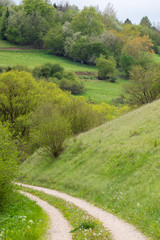 17.05.2019 DE, RLP, Schönecken Wiese , Magerrasen , Tal , Schönecken , Eifel Schönecken , Eifel
