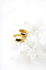 wedding rings and white flowers