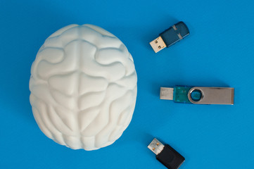 flash card in the brain