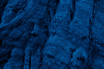 Blue rough wooden texture, driftwood. Old withered tree, migratory branches. Trend color 2020 classic, top view. Trendy color concept of the year, classic blue wooden background.