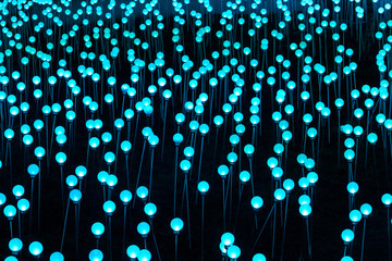 Blue lights abstract on the black background 