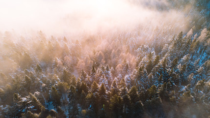 Moody Image of Winter Forest at Sunrise with Fog and Sunlight Beams