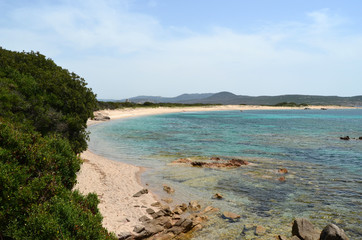 corse du sud