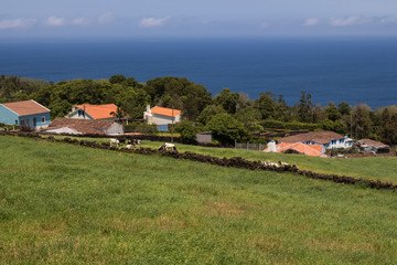 Field and a village, Sao Miguel, Azores
