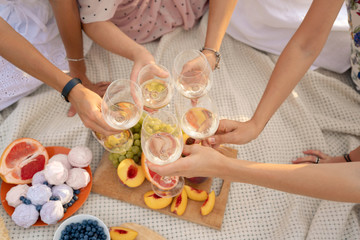 Obraz na płótnie Canvas The company of female friends enjoys a summer picnic and raise glasses with wine