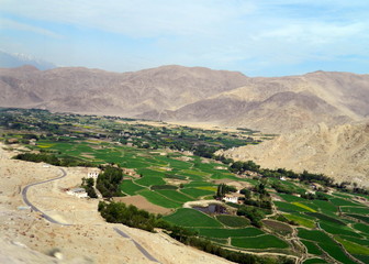 Ladakh Landscape