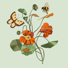 Botanical illustration with elements of wild flowers, butterfly, bee and snail