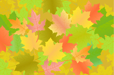 Naklejka na ściany i meble Autumn poster design. Maple leaves yellow and red. Vector illustration.