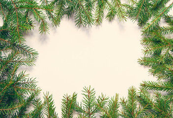 Frame of coniferous green spruce branches on a white background with free space for text.