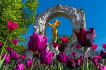 Johann Strauß Denkmal Wien mit Tulpen