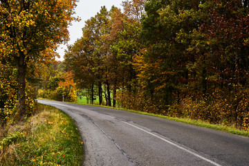 turning road, autumn season