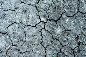 dry cracked earth