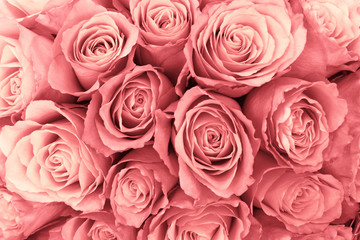 Pink bouquet roses in natural light, top view
