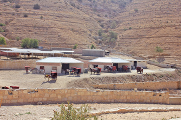 Fototapeta na wymiar Petra, Jordan. Eco tourism concept