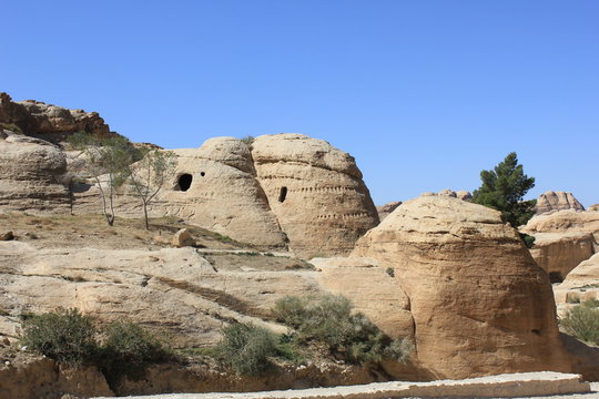 Petra, Jordan. Eco tourism concept