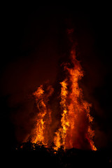 huge flames and sparks from burning trees