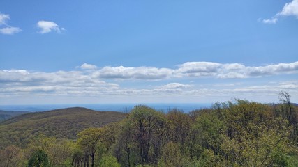 Landscape view
