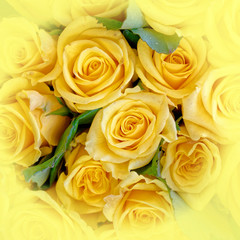 soft and airy yellow roses bouquet top view close up, filtered image as a natural background