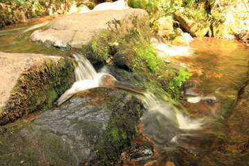 Mezenschwander Wasserfall Schwarzwald