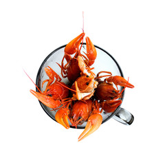 Red boiled crayfish in a large glass bowl with a handle. Delicious arthropods isolated on a white background. The view from the top.