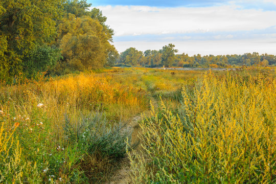 Sunrise over the Millingerwaard landscape with walking path between high growing wild herbs in the warm light of the rising sun with river forest or ooij forest in the background