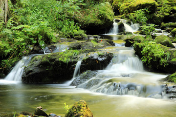 Ravennaschlucht Schwarzwald