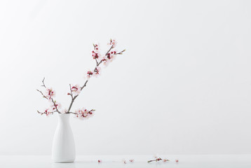 flowering cherry branch in  vase on white background