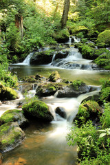 Naklejka premium Ravennaschlucht Schwarzwald