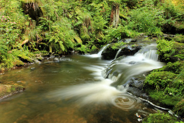 Ravennaschlucht Schwarzwald