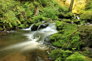 Ravennaschlucht Schwarzwald