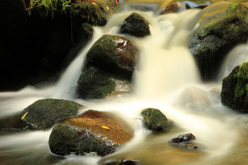 Ravennaschlucht Schwarzwald
