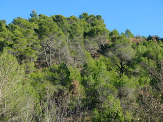 rando hivernale en Provence