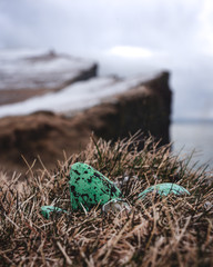 Puffin egg shell at Latrabjarg cliffs