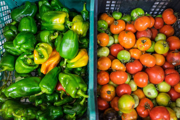 Organic Tomatoes & Peppers from the south of Italy