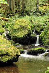 Ravennaschlucht Schwarzwald