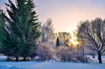 Beautiful winter sunset landscape in snowy city park