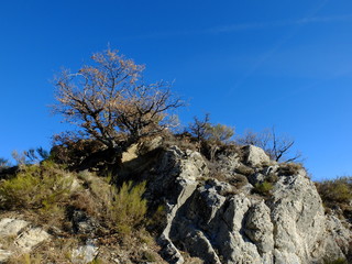 rando hivernale en Provence