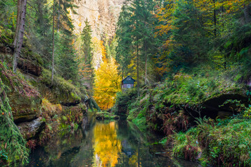 The picturesque house surrounded by a forest dark forest in the gorge depth rises above the quiet water of forest river.  The cottage among spring forest in the gorges of the Czech Switzerland. Colore