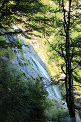 Wasserfall Todtnau Schwarzwald