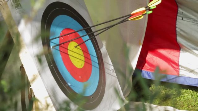 target for archery, flying at the target arrow