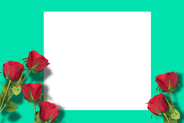 red roses with green background and white frame