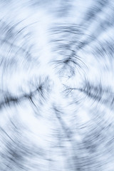 Trees vertigo. Tree branches dizzy swirl. Abstract tree background
