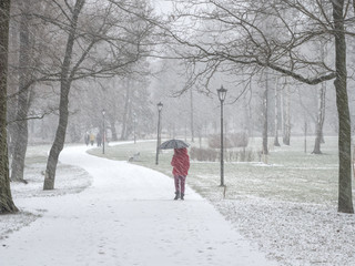 Fototapeta na wymiar People under the snow walk under umbrellas in the winter city Park.